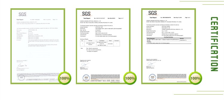 Jiangsen zèb atifisyèl certification.jpg