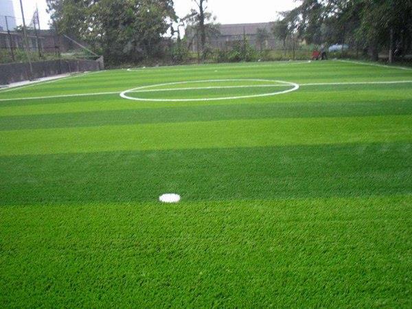 FOOTBALL GRASS