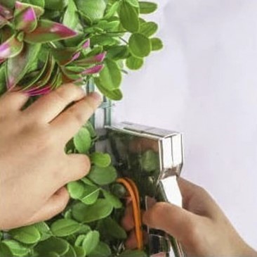 Green wall panel installation Green wall panel installation