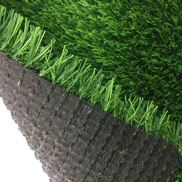 Backyard Turf Grass