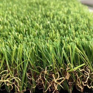 Landscape fo turf