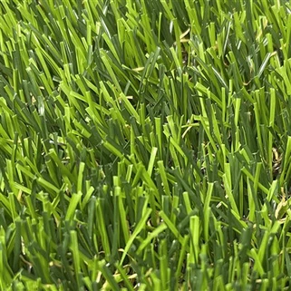 Kare atifisyèl Grass