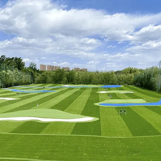 Putting Green Golf Course Competition Artificial Turf